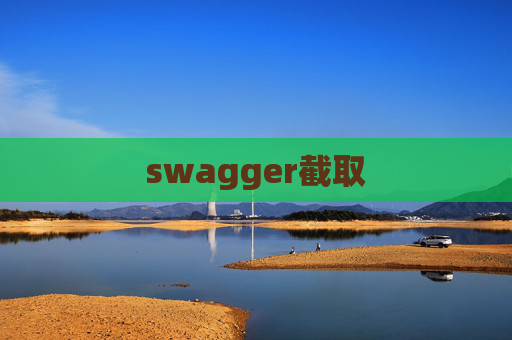 swagger截取